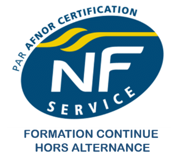 logo-NF-service